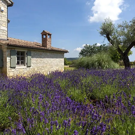 Rustic Luna With Pool In Sveti Lovrec Villa